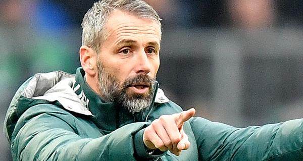 登录入口-第三次掏转会费挖主帅 罗泽是多特的真命天子吗？